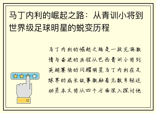 马丁内利的崛起之路：从青训小将到世界级足球明星的蜕变历程