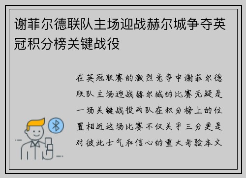 谢菲尔德联队主场迎战赫尔城争夺英冠积分榜关键战役