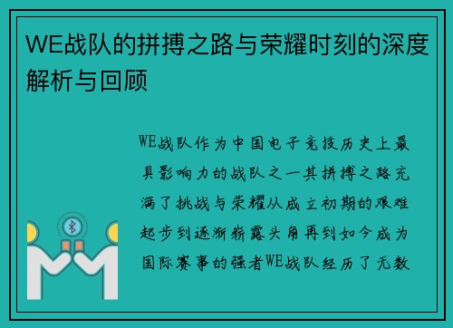 WE战队的拼搏之路与荣耀时刻的深度解析与回顾